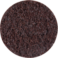Standard Abrasives Surface Conditioning Discs, 2" Dia., Coarse Grit Groupe Belzile Dickner