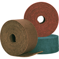 Standard Abrasives Cleaning Pro Disc 840902, 8" Dia., Silicon Carbide Groupe Belzile Dickner