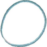 Scotch-Brite Surface Conditioning Belt Groupe Belzile Dickner