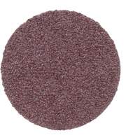 Disque PSA en toile 348D, 20" dia., Grain 50, Oxyde d'aluminium Groupe Belzile Dickner