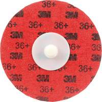 Cubitron II Roloc Durable Edge Disc, 3" Dia., 36+ Grit, Ceramic Groupe Belzile Dickner