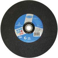 Basic Cut-Off Wheel, 12" x 1/8", 1" Arbor, 1, Aluminum Oxide Groupe Belzile Dickner
