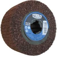 Tambour de conditionnement de surface Pro-Line, 4" dia. x 2" la, 3/4" Arbre, Grain Fin, Oxyde d'aluminium Groupe Belzile Dickner