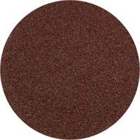 Lock Back Sanding Disc - 3", 3" Dia., 36 Grit, Aluminum Oxide Groupe Belzile Dickner