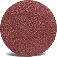 3M 782C Roloc Sanding Disc, 2" Dia., 36+ Grit, Ceramic Groupe Belzile Dickner