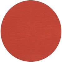 Roloc 787C Fibre Disc, 2" Dia., 120+ Grit, Ceramic Groupe Belzile Dickner