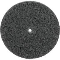 Meule unitaris&eacute;e EXL Scotch-Brite, 5" x 1/4", Arbre de 1/4", Grain de Fin, Carbure de silicium Groupe Belzile Dickner