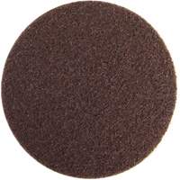 Non-Woven Hook & Loop Disc, 4" Dia., Coarse Grit, Aluminum Oxide Groupe Belzile Dickner