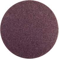 Non-Woven Hook & Loop Disc, 4" Dia., Medium Grit, Aluminum Oxide Groupe Belzile Dickner