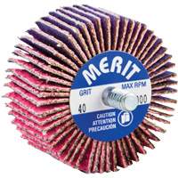 Threaded Mini Flap Wheel, Ceramic Alumina, 40 Grit, 2" x 1" x 1/4"-20 Groupe Belzile Dickner