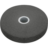 Scotch-Brite EXL Unitized Wheel, 4" x 1/4", 1/4" Arbor, Fine Grit, Silicon Carbide Groupe Belzile Dickner