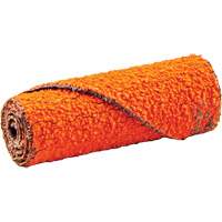 Cartouche de ruban abrasif en rouleau, 60 Grain, 1/2" dia., C&eacute;ramique d'alumine, 1-1/2" lo, 1/8" Dimension de l'arbre Groupe Belzile Dickner