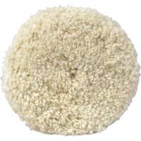 Tampon pour mastic de 05703, 8" dia., Laine Groupe Belzile Dickner