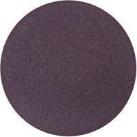 Disque de ponçage en tissu PSA Metalite, 10" dia., Grain 36, Oxyde d'aluminium Groupe Belzile Dickner