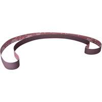 Metalite&reg; Narrow Backstand Sanding Belt, 3" W x 132" L, Aluminum Oxide, 36 Grit Groupe Belzile Dickner