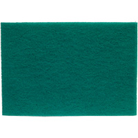 Tampons manuels Bear-Tex, Oxyde d'aluminium, 6" x 9", Grain Tr&egrave;s fin Groupe Belzile Dickner