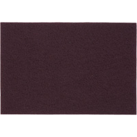 Tampons manuels Bear-Tex, Oxyde d'aluminium, 6" x 9", Grain Tr&egrave;s fin Groupe Belzile Dickner