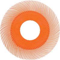 Brosse radiale en soies de pr&eacute;cision type C PN-RB sans adaptateur Scotch-Brite , C&eacute;ramique, Grain 80+, 6" dia. Groupe Belzile Dickner