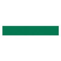 Write-On Magnetic Label, Magnetic, 600" L x 1" W Groupe Belzile Dickner