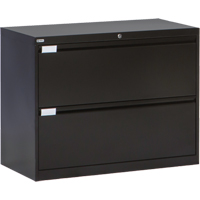Lateral Filing Cabinet, Steel, 2 Drawers, 36" W x 18" D x 27-7/8" H, Black OP213 | Dickner Inc