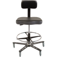 Chaise ergonomique industrielle TF160<sup>MC</sup>, Mobile, Ajustable, 20-1/2" - 28-1/2", Vinyle Siège, Noir/gris OP491 | Dickner Inc
