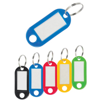 Porte-clés en plastique OP568 | Dickner Inc