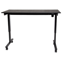 Adjustable Stand-Up Desk, Stand-Alone Desk, 45-1/4" H x 29-1/2" D, Black Groupe Belzile Dickner