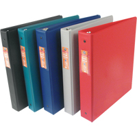 Vinyl Binders, 11" x 8-1/2" x 1", Green Groupe Belzile Dickner