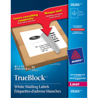 Étiquettes d'expédition au laser TrueBlock<sup>MC</sup>, 11" la x 8,5" la x Blanc OT813 | Dickner Inc