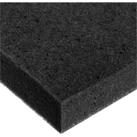 Foam Sheet, Standard, 2" Thick, 108" L x 24" W Groupe Belzile Dickner