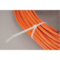 Attaches de câbles, Longueur 8", Résistance à la traction 50 lb, Naturel PF389 | Dickner Inc