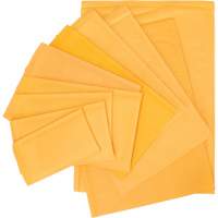 Enveloppes postales coussin&eacute;es, Kraft, 6" la x 10" lo Groupe Belzile Dickner