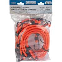 Bungee Cord Tie Downs, 24" Groupe Belzile Dickner