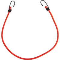 Bungee Cord Tie Downs, 30" Groupe Belzile Dickner