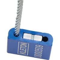 Scell&eacute;s de haute s&eacute;curit&eacute;, 12", M&eacute;tal, Scell&eacute; &agrave; c&acirc;ble Groupe Belzile Dickner