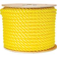 Corde jaune tress&eacute;e 5/8", Polypropyl&egrave;ne, 200' Groupe Belzile Dickner