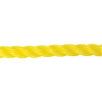 Corde jaune tress&eacute;e 5/8", Polypropyl&egrave;ne, 200' Groupe Belzile Dickner