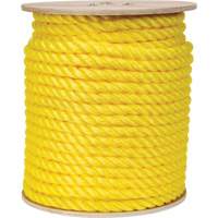 Corde jaune tress&eacute;e, Polypropyl&egrave;ne, 300' Groupe Belzile Dickner