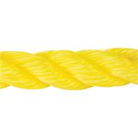 Corde jaune tress&eacute;e, Polypropyl&egrave;ne, 300' Groupe Belzile Dickner