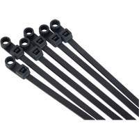 Attache-c&acirc;ble &agrave; visser, Longueur 8", R&eacute;sistance &agrave; la traction 50 lb, Noir Groupe Belzile Dickner