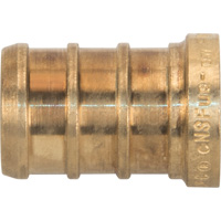 Lead-Free Pipe Plug, Pipe, 1/2" Dia., Brass Groupe Belzile Dickner