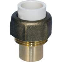 Raccord union, 1/2", PVC-C, Embout femelle x bras&eacute; Groupe Belzile Dickner