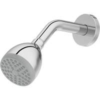 One-Function Showerhead Groupe Belzile Dickner