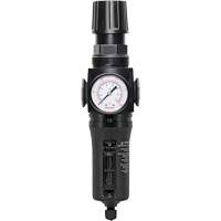 Manual Drain Filter/Regulator with Metal Bowl Modulair 300, 1/4" NPT, 250 PSI, 5.1 fl. oz. Capacity Groupe Belzile Dickner