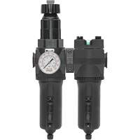 Manual Drain Filter, Regulator & Coalescing Filter with Metal Bowl Modulair 400, 1/4" NPT, 200 psi, 9.1 fl. oz. Capacity Groupe Belzile Dickner