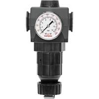Regulator with Gauge Modulair 400, 3/4" NPTF, 125 PSI Max. PSI, In Line/Modular Groupe Belzile Dickner