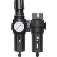 Filter/Regulator & Coalescing Filter Modulair 300 with Standard Bowl & Manual Drain, 3/8" NPTF, 150 PSI, 5.12 fl. oz. Capacity Groupe Belzile Dickner