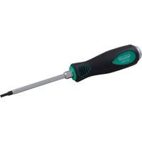 Torx&reg; Screwdriver Groupe Belzile Dickner