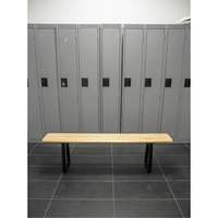 Locker Room Bench, Wood, 96" L x 9-1/4" W x 16-1/2" H RL874 | Dickner Inc