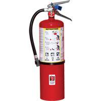Fire Extinguisher, ABC, 10 lbs. Capacity Groupe Belzile Dickner